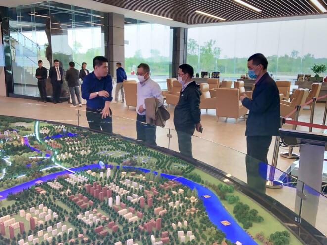 2020417164206724 GCGC黄金城集团辅导赴天府橄榄公司 督导查抄安全环保工作